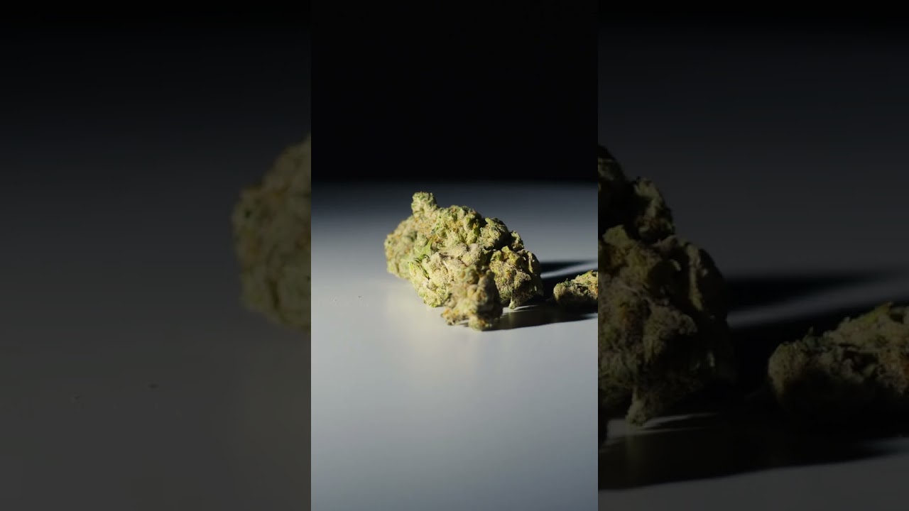 Do-Si-Dos: The Indica-Dominant Hybrid Cannabis Strain You Need to Try