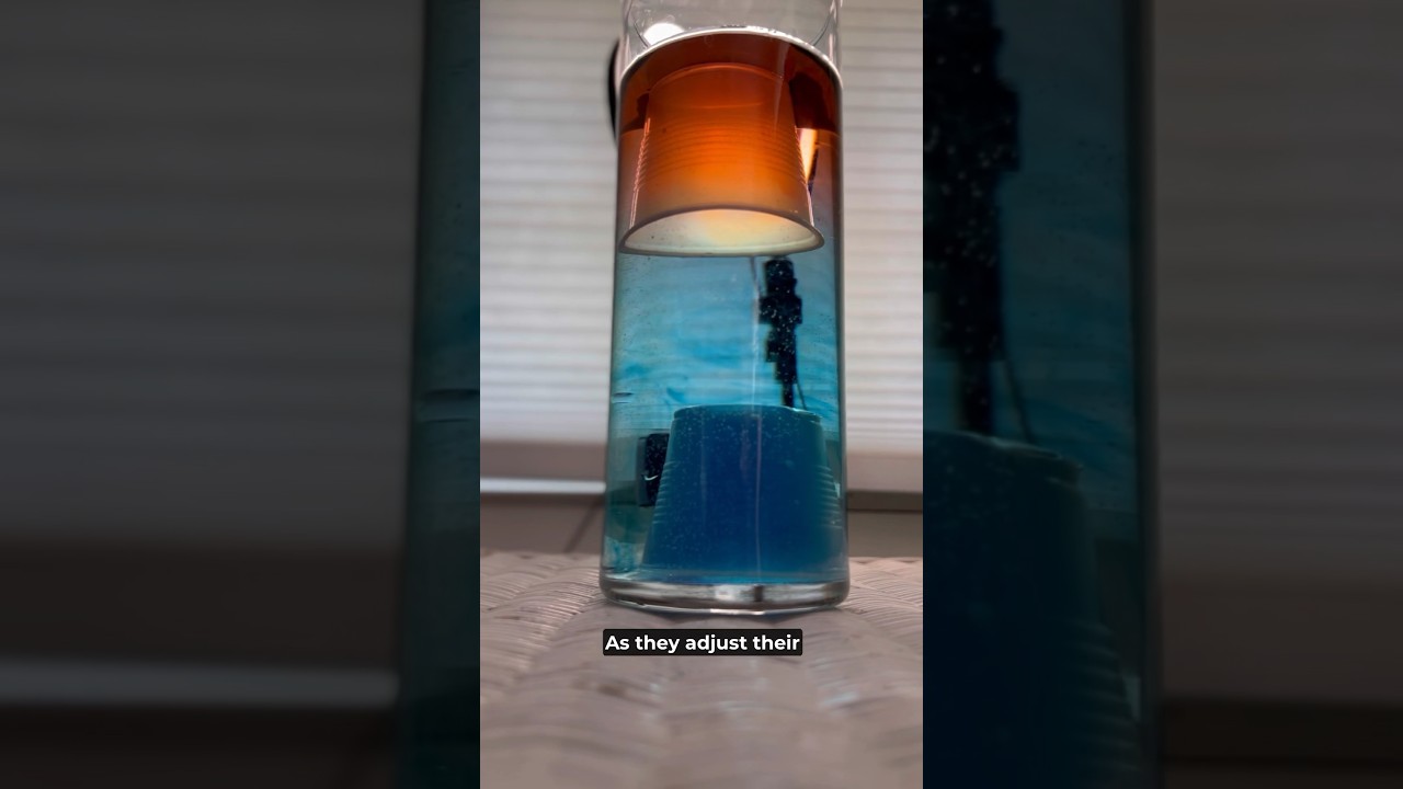 Как сделать грозу дома! ⛈️ #шорты #научныйэксперимент #гром #погода #научныешутки