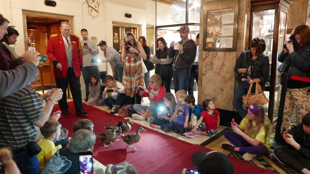 The Peabody Hotel Duck March