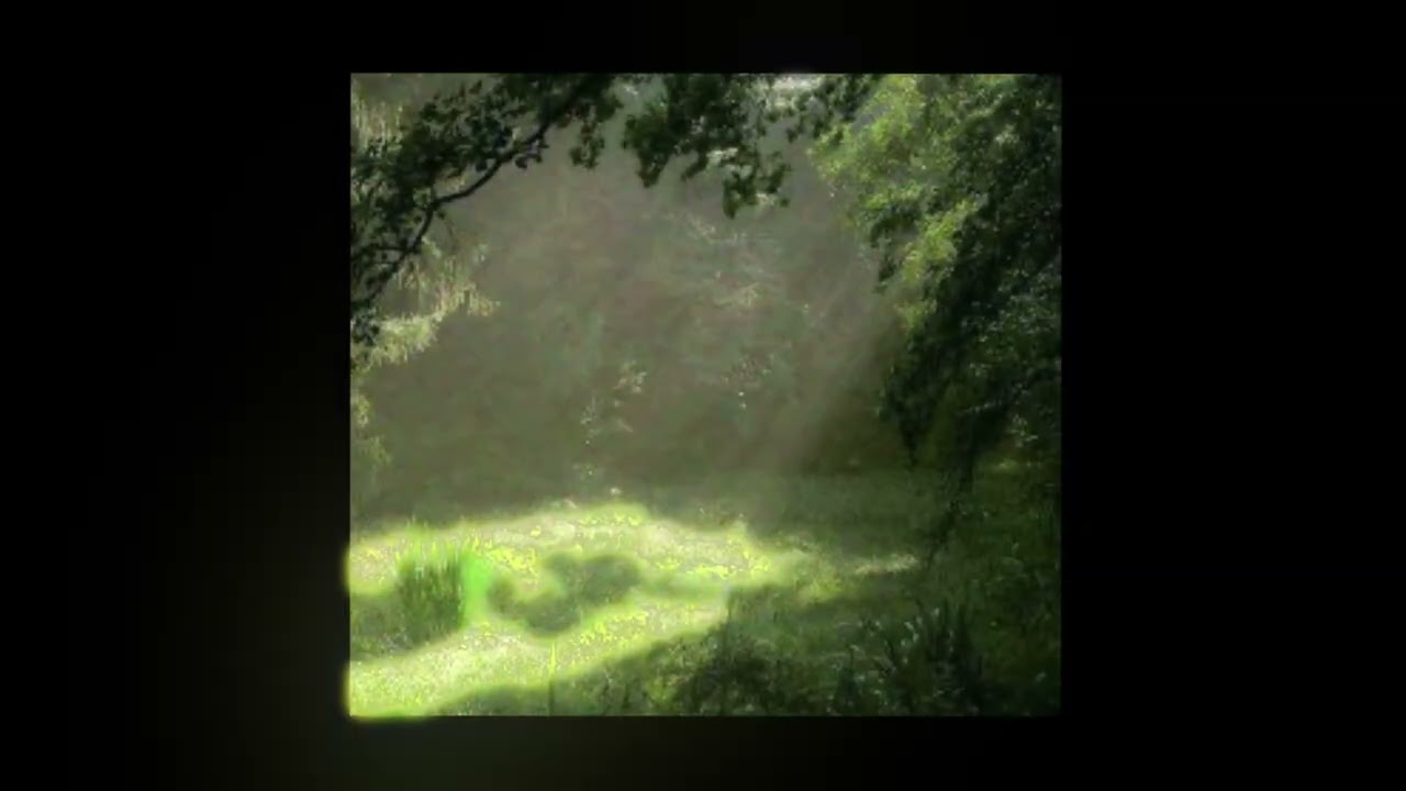 fakemink / whitearmor / bladee / yung lean type beat — svistoperdelka