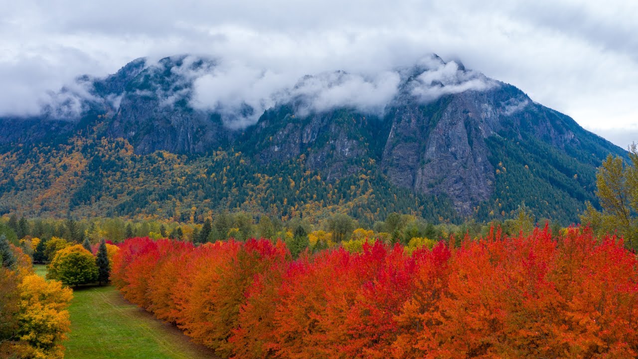 Secrets Out! Fall Colors in Snoqualmie Valley Hidden Gems!