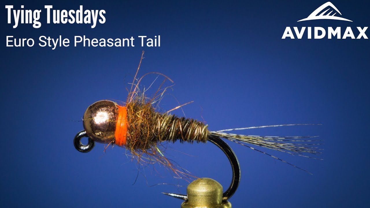 How to tie an EASY Euro Style Pheasant Tail | AvidMax Fly Tying Tuesday Tutorials