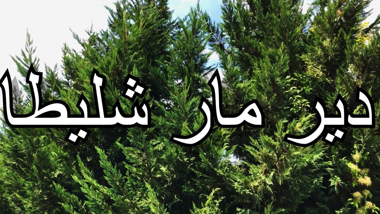 دير مار شليطا - القبيات - لبنان