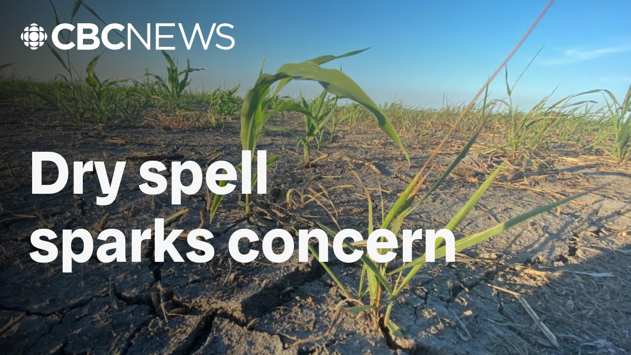 Manitoba's hot, dry weather could put farmers, firefighters to the test