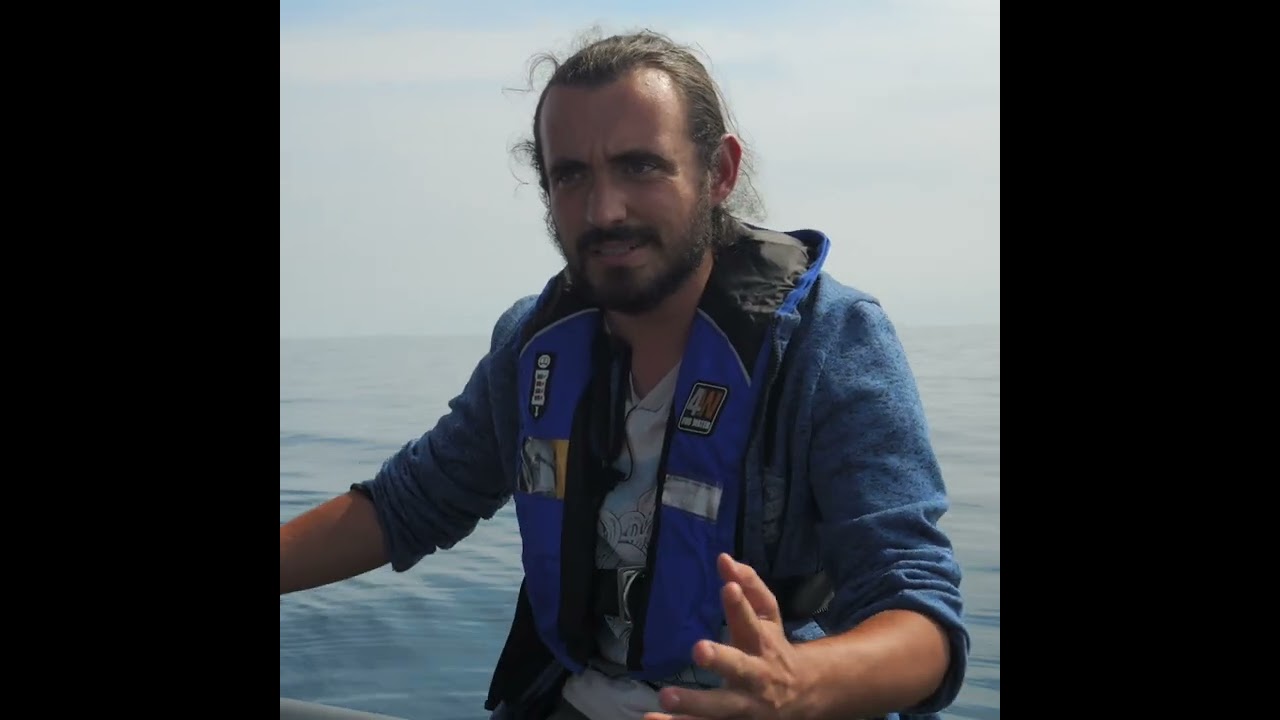 L'oiseau marin le plus menacé