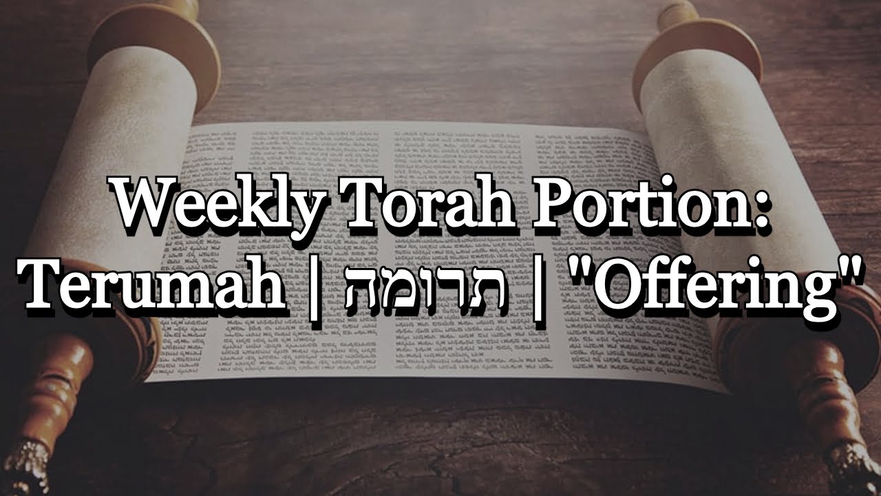 Weekly Torah Portion: Terumah | תרומה | 