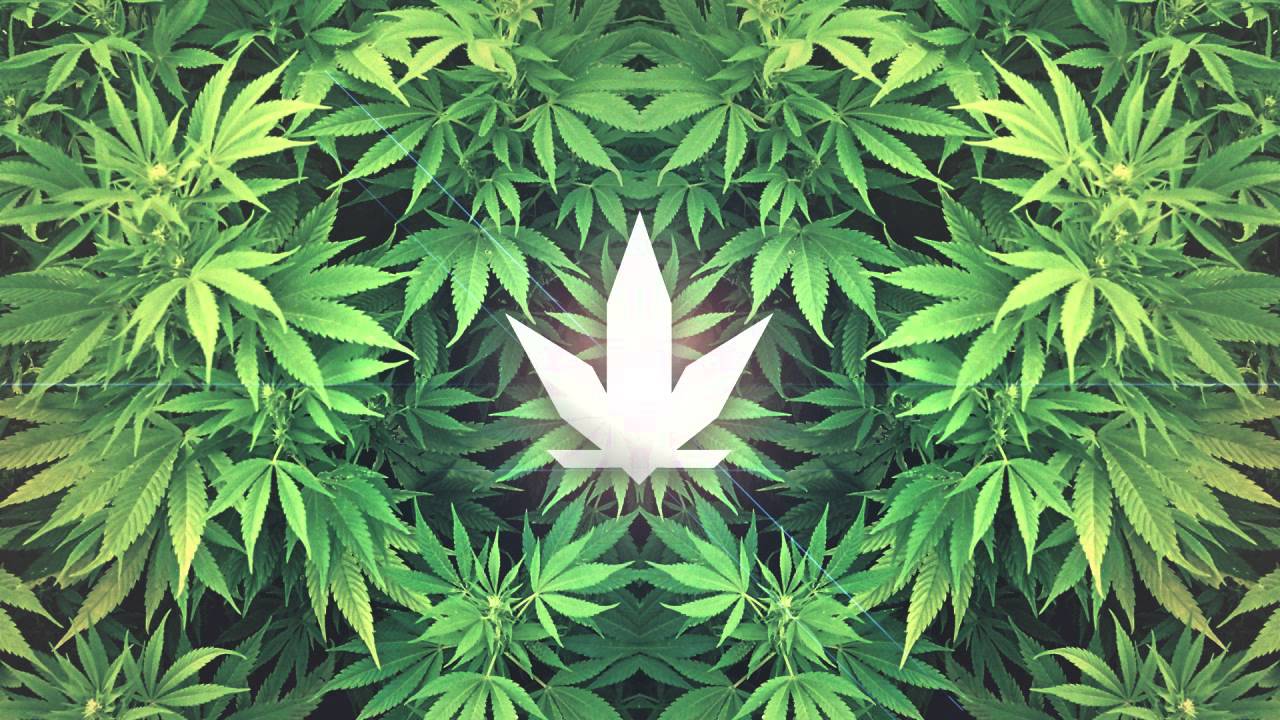 Slippe Feat. Gorillastar Militant - Love Fi Marijuana