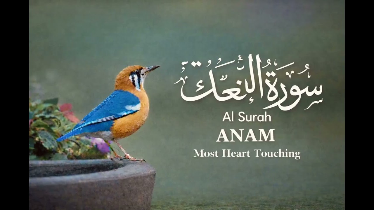  Beautiful Surah AI ANAM (Anam) tilawat