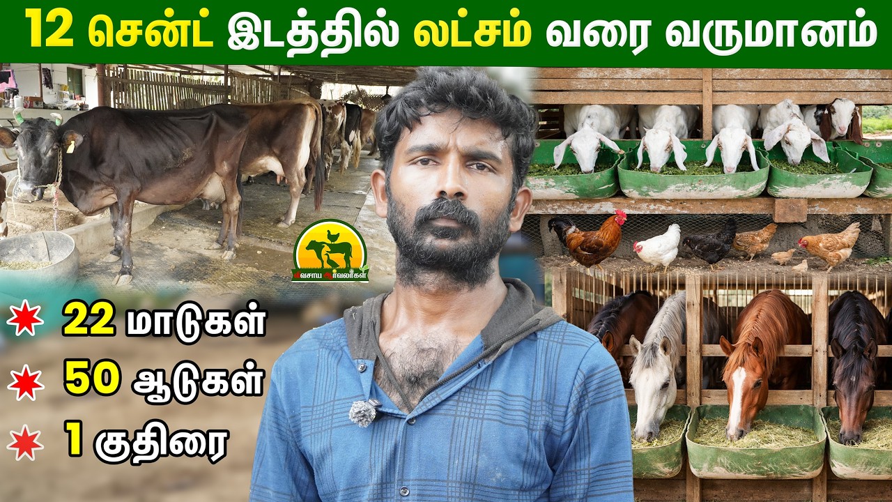12 சென்ட் இடத்தில் Dairy + Goat Farming செய்து லட்சம் சம்பாதிப்பு #cow #dairyfarm