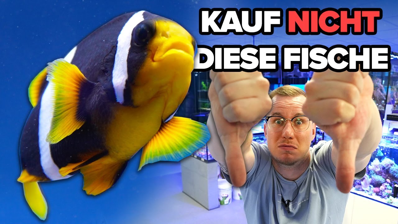 Kauf NICHT diese FISCHE! - Das kann schief gehen...