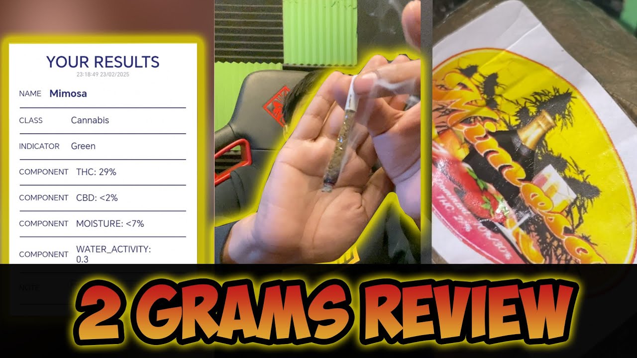 Mimosa (M) Hash Review #145