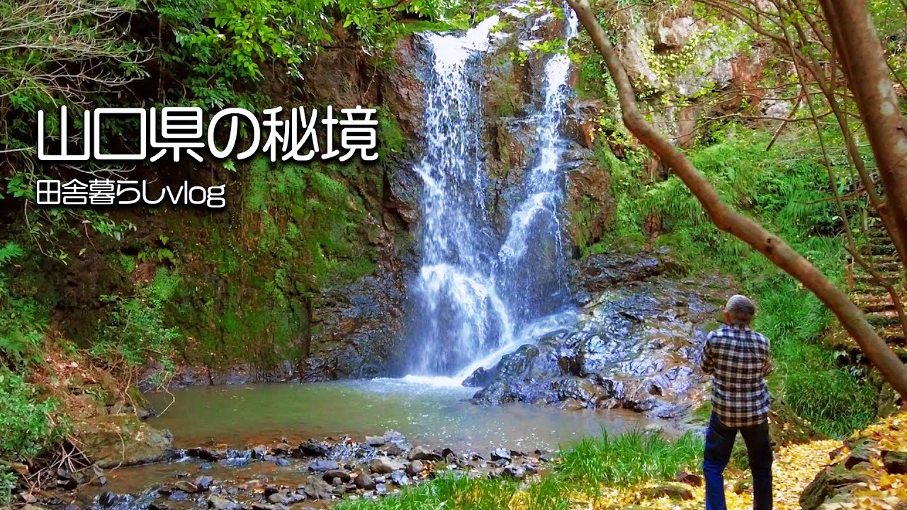 【田舎暮らし】山口県の秘境を見つけてきました！【仲良し夫婦のvlog】【山口県】