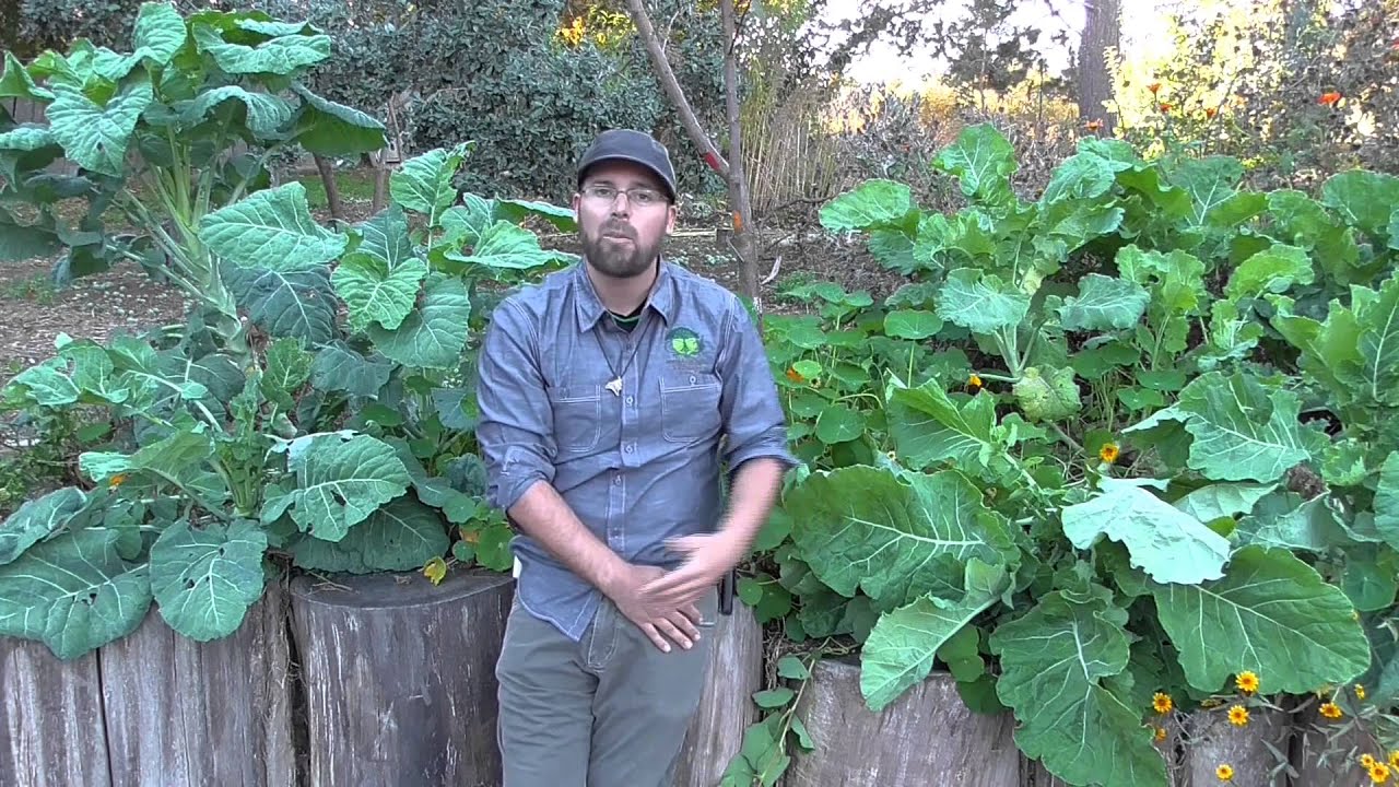 The Permaculture Student Online visits Erik Ohlsen' Homestead