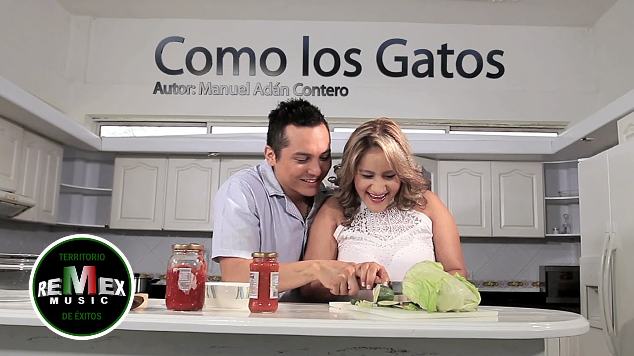 Dora Libia - Como los gatos ft. La Trakalosa de Monterrey (Video Oficial)