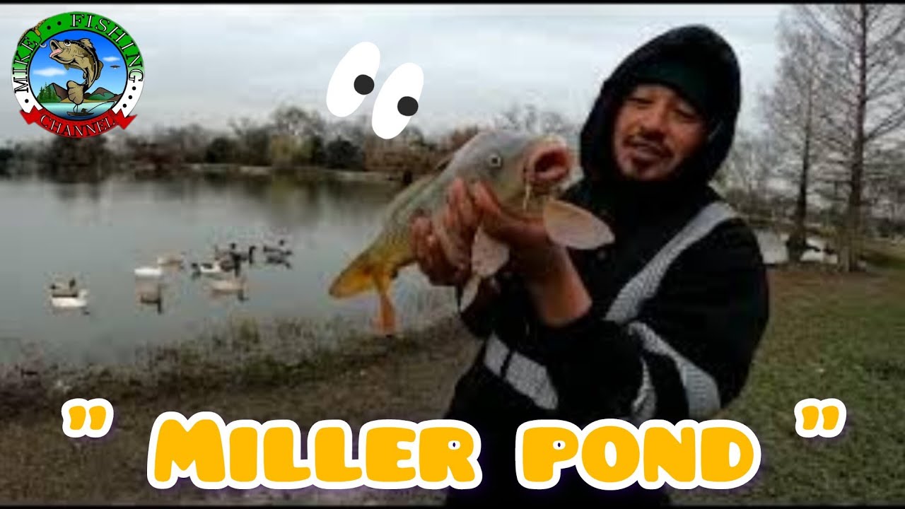 Miller pond  . pesca de carpas en San Antonio texas