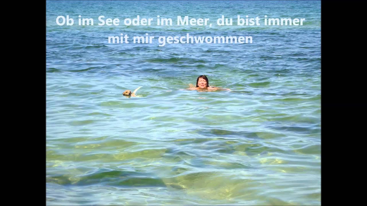 Mein Abschied von Hund Sunny 2014
