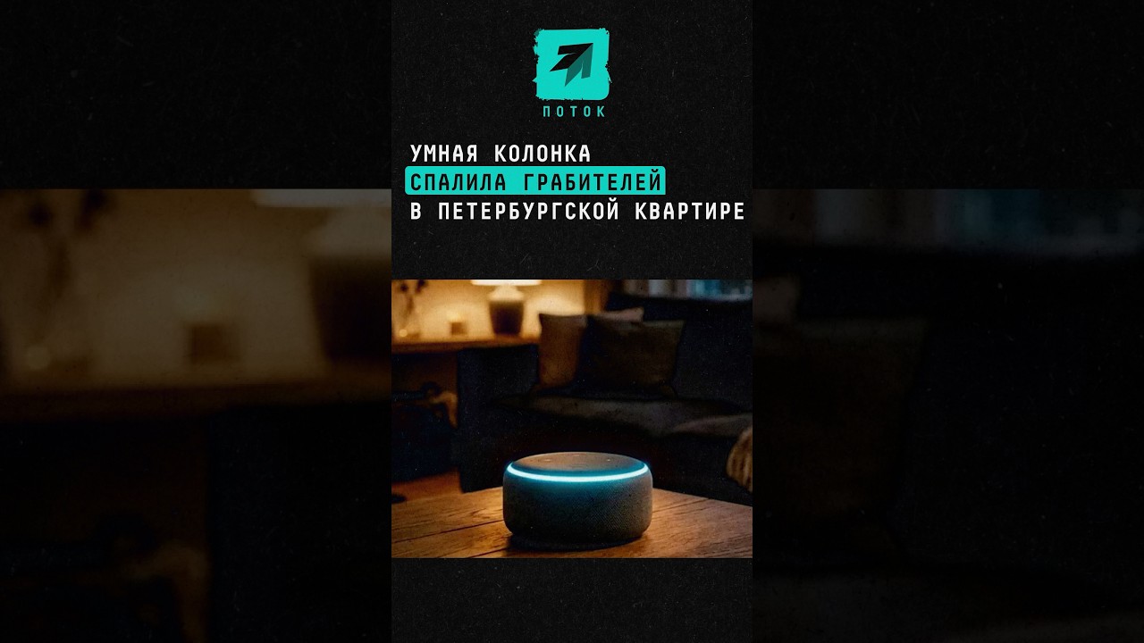 Умная колонка спалила грабителей в петербургской квартире #новости