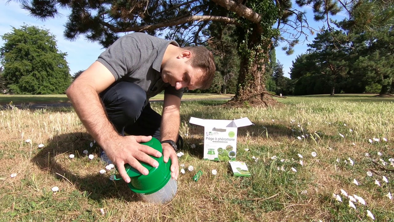 Tuto montage piège funnel contre la processionnaire du pin