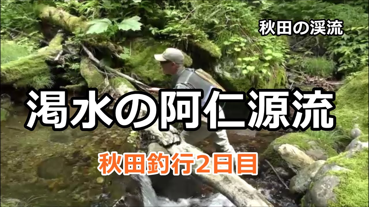 渇水の阿仁源流  /  秋田遠征2日目  /  秋田の渓流  /  みちのく釣りの旅  ﾌﾗｲﾌｨｯｼﾝｸﾞ渓流釣り(4K) fly fishing