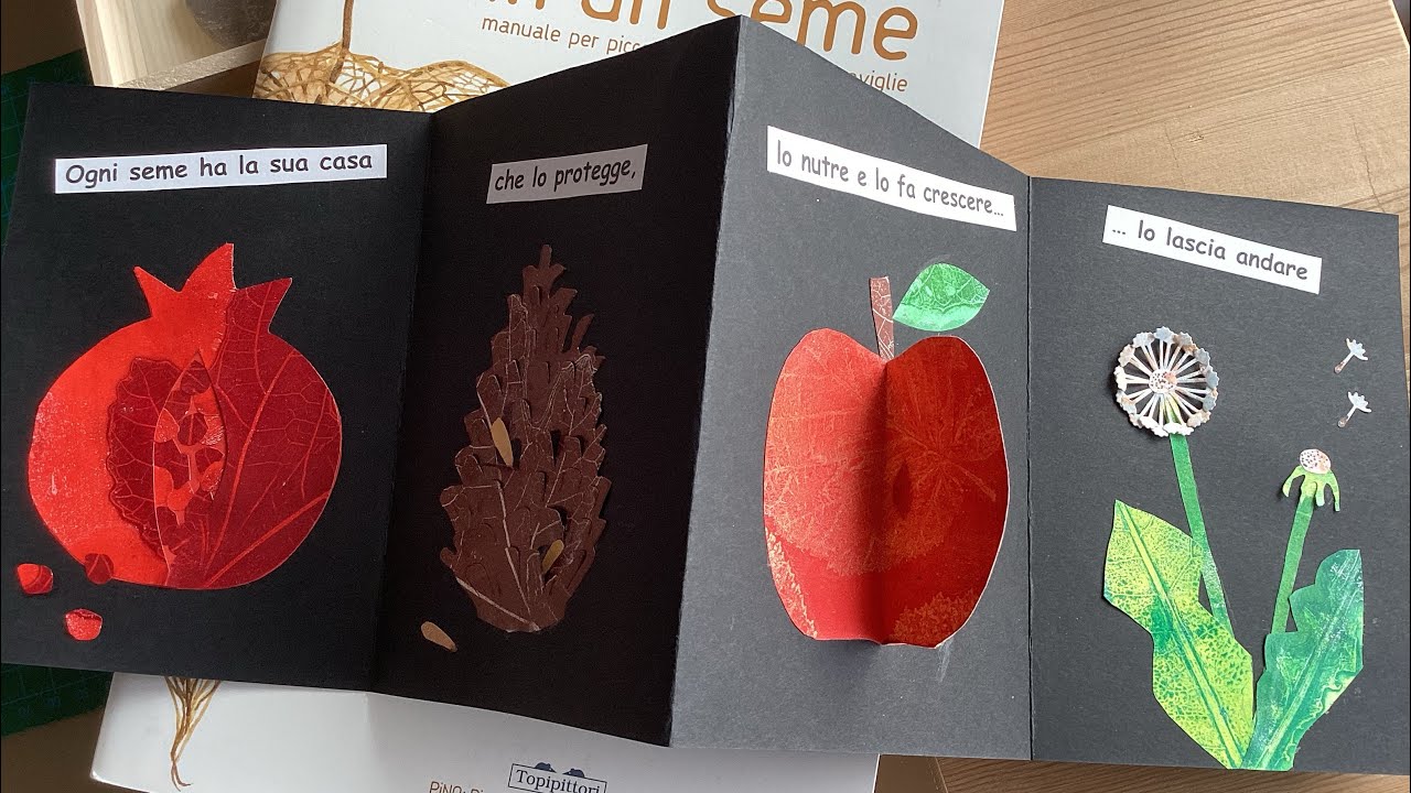 Le case dei semi | Leporello per apprendere #farelibri #diy #gelliplate #art #risorsedidattiche 