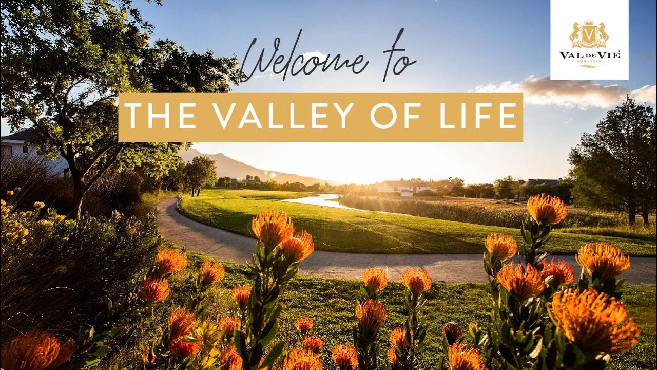 Welcome to The Valley of Life | Val de Vie Estate