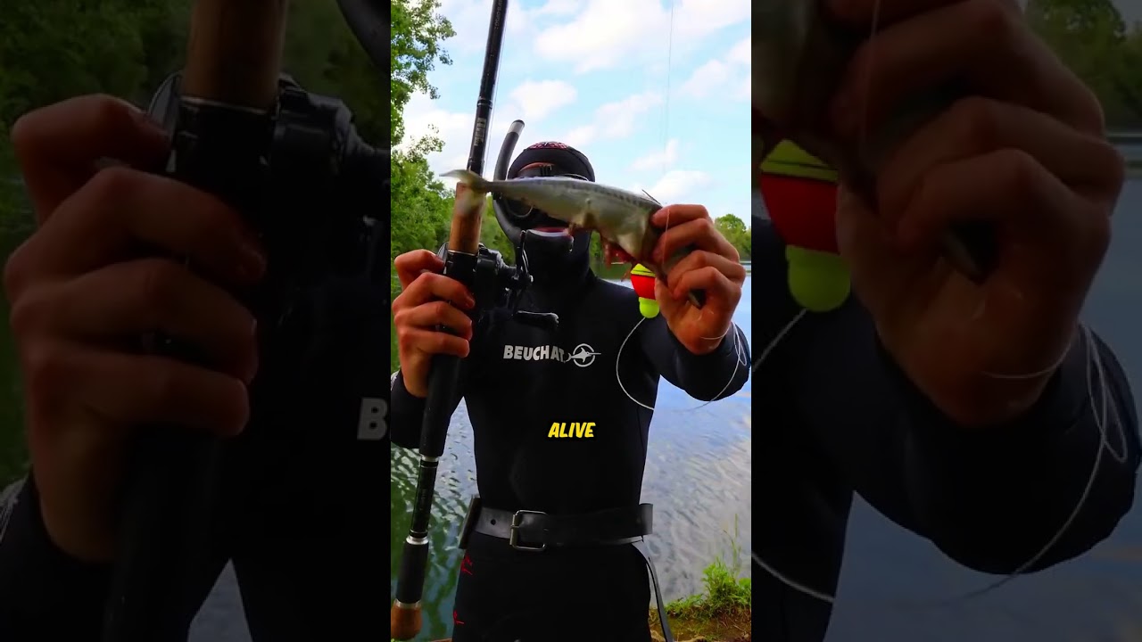 This Fishing Hook Lets You Cheat In The Ocean (IG kanama_bait)