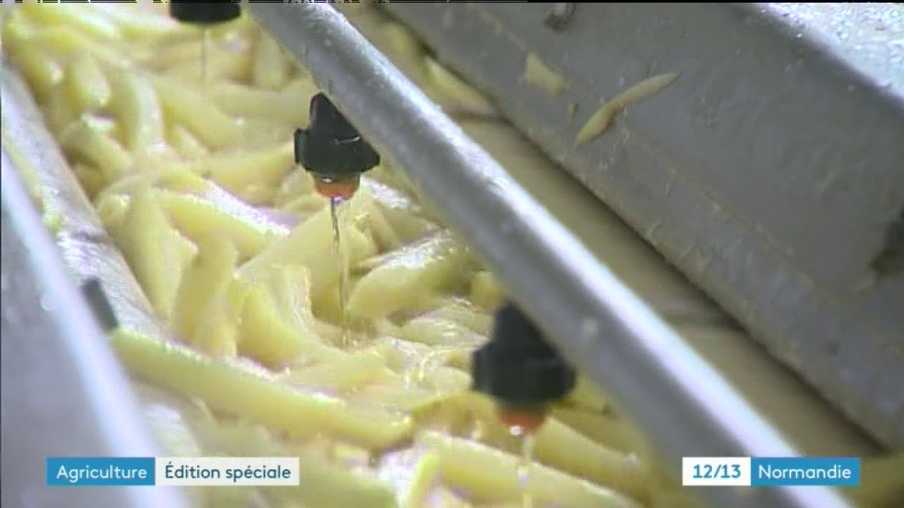 Un producteur de Goderville (76) adh&eacute;rent de la marque Saveurs de Normandie
