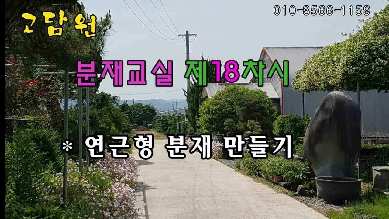 고담원 분재교실 제18차시(연근형 분재 만들기)