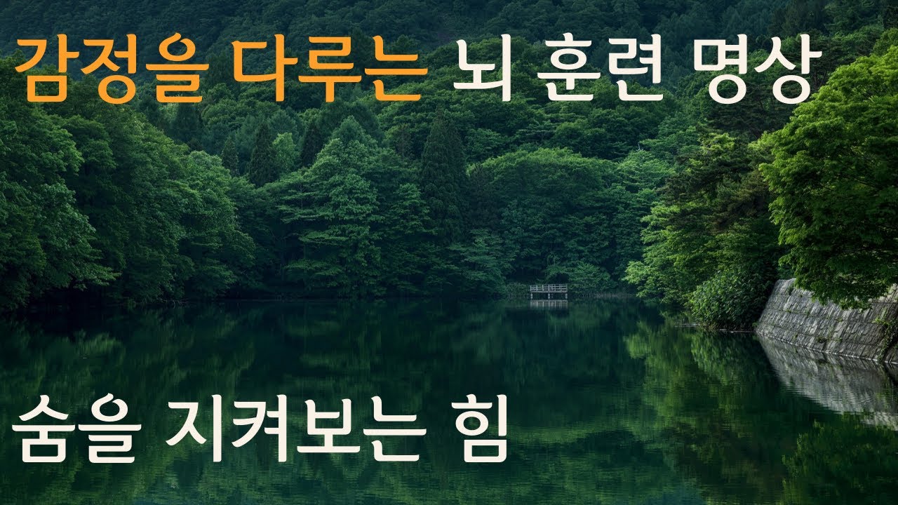 감정조절과 불안완화에 효과적인 호흡 명상 | 요가 니드라 Ep.4