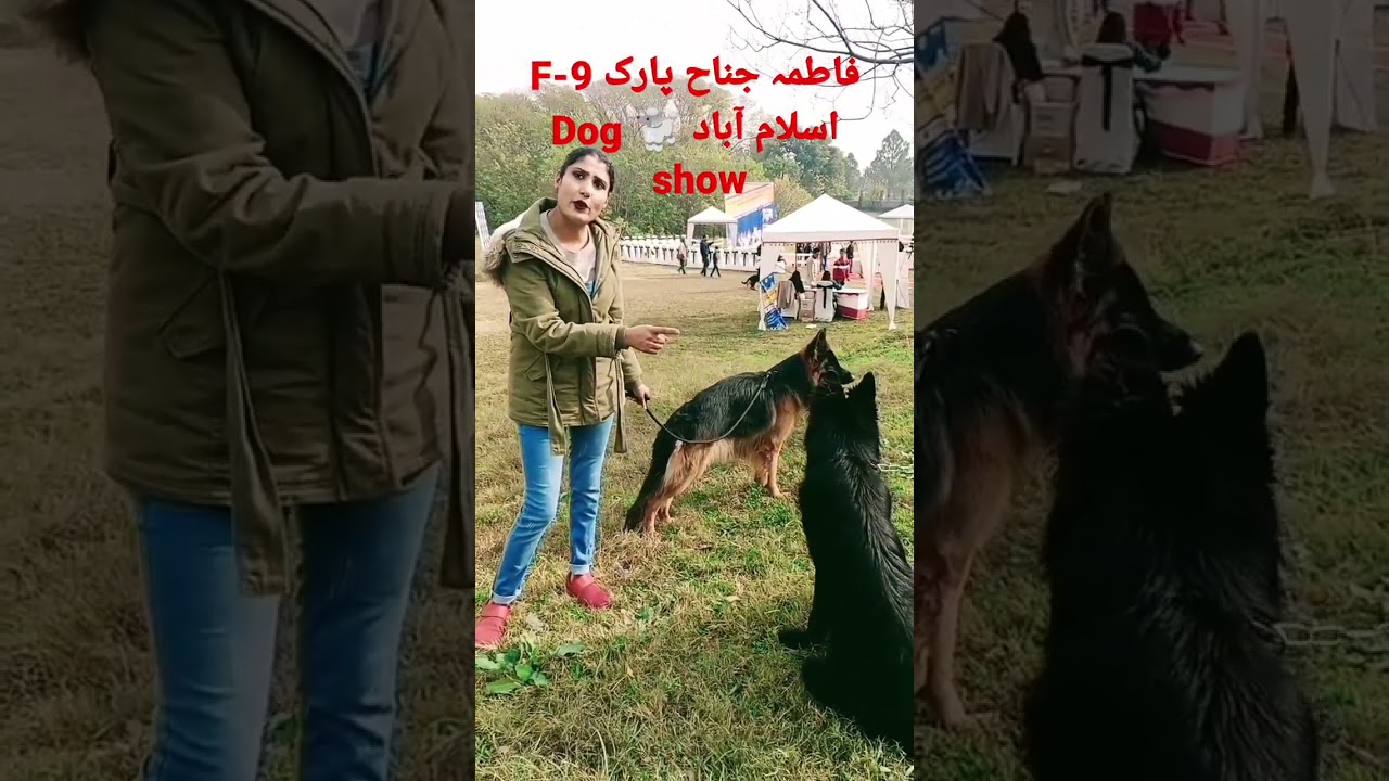 Fatima Jinnah Park 🏞️ Islamabad Dog 🐕 show