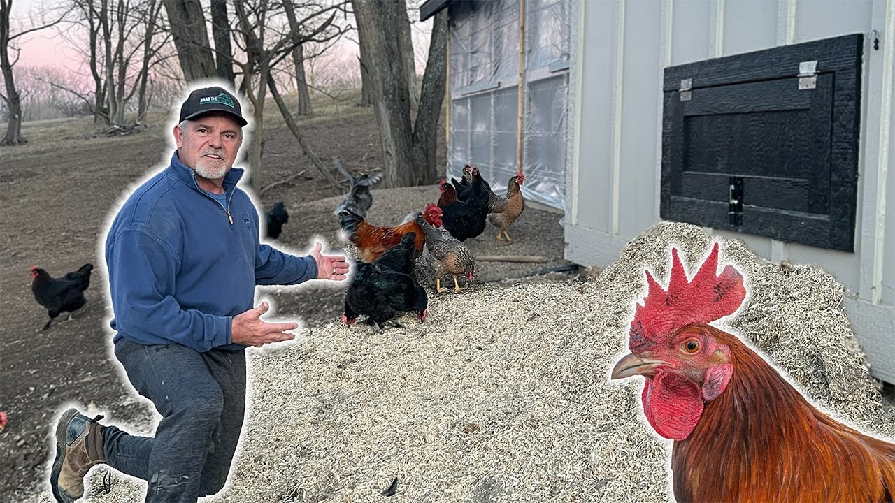 The WORST Part of Owning Chickens! (Chicken Coop Cleanout!)