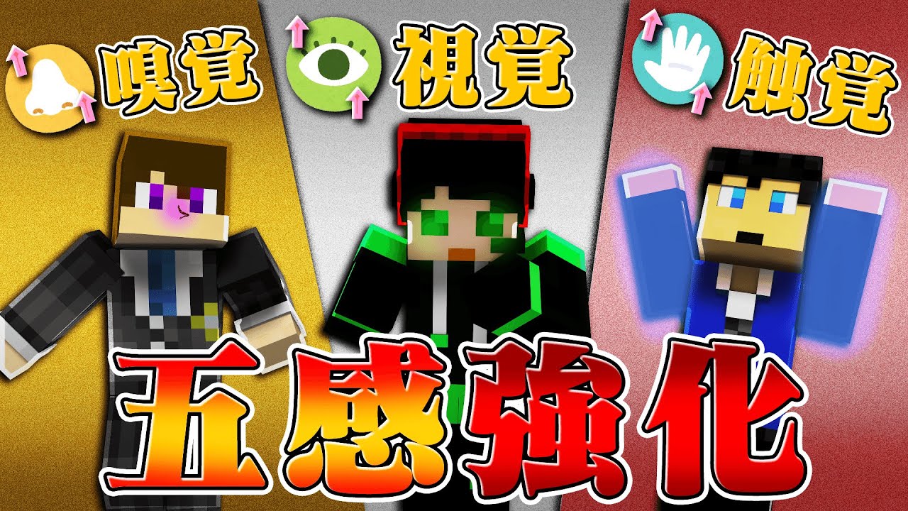 五感が強化された状態でエンダードラゴンを倒す！！【五感強化クラフト】