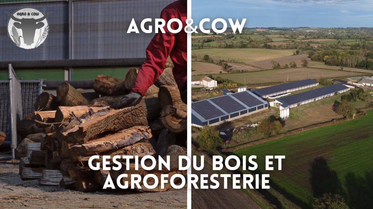 La Gestion du bois et des haies sur la Ferme