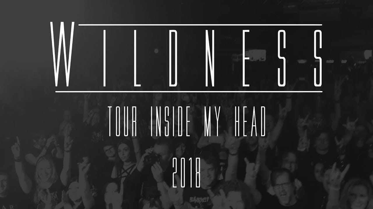 Wildness - Stranger // Music video // On the road 2018