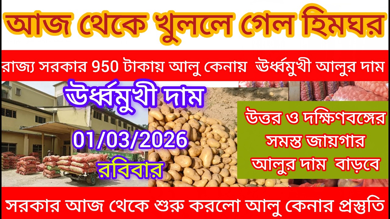 আজকের আলুর দাম🔥উত্তর ও দক্ষিণবঙ্গে আলুর দাম/সরকার আজ থেকে আলু কেনার প্রস্তুতি শুরু করলো খুলল হিমঘর