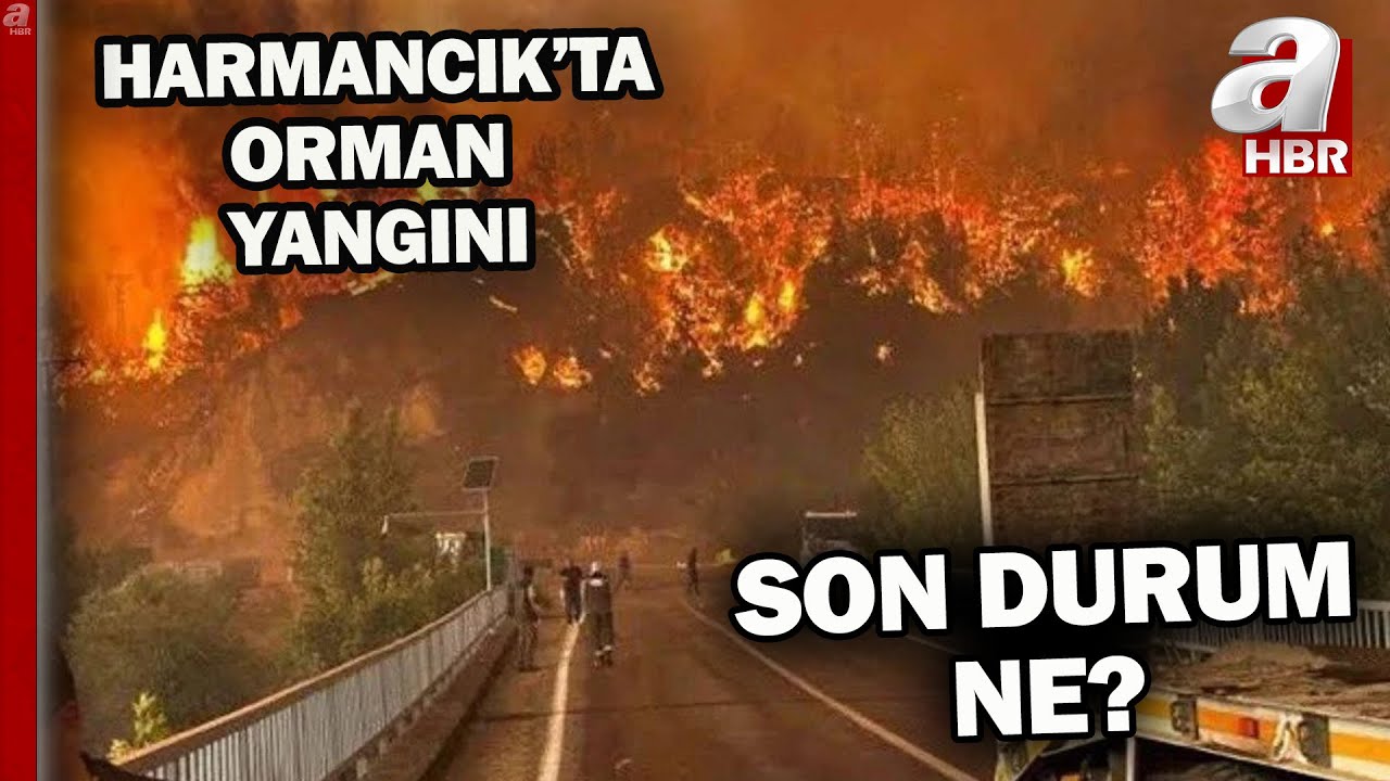 Harmancık'taki orman yangınında son durum ne? | A Haber