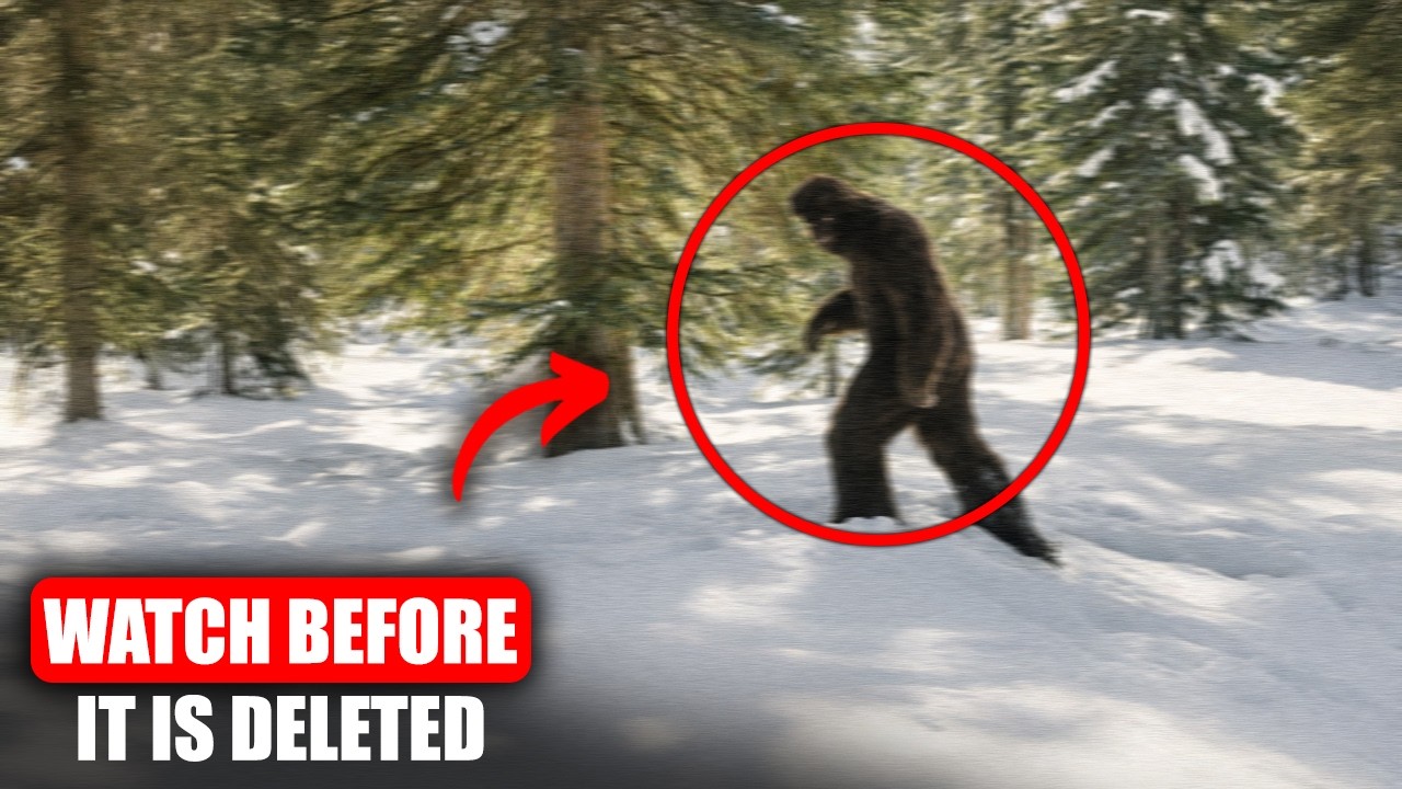 2 Hours Of Shocking Bigfoot Evidence: The Most Convincing Footage Ever Caught!