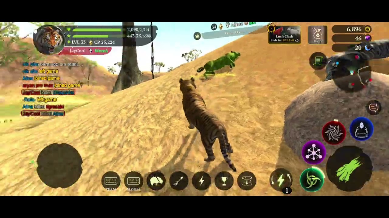 PvP for a quest | The Tiger online