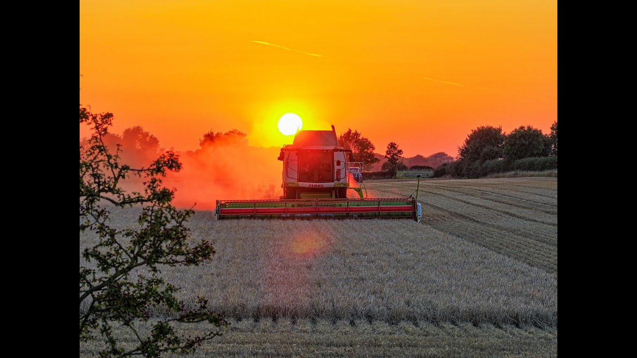 A. Johnson Claas Lexion 750TT - Harvest 2023 4Kᵁᴴᴰ