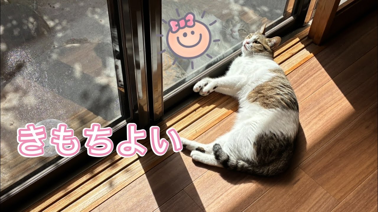 きもちよい