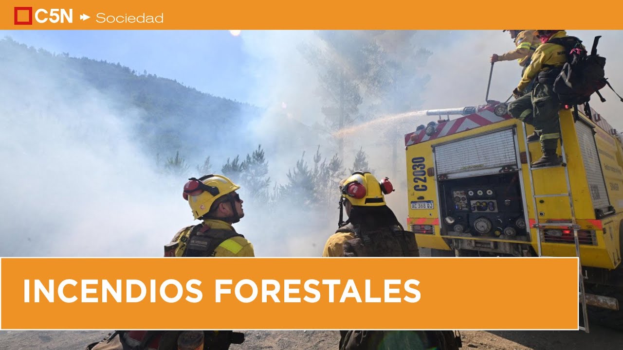 C5N en CHUBUT: la PATAGONIA en ALERTA por los INCENDIOS forestales