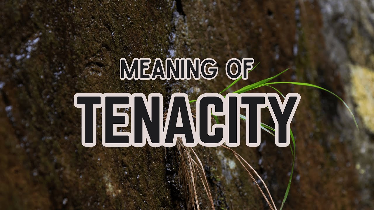 What is the meaning of Tenacity?