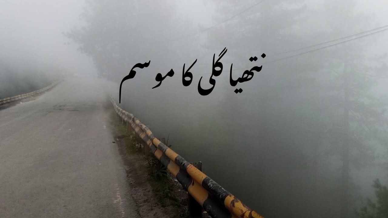 Nathia Gali Weather Today | Foggy Views & Road Trip from Murree to Nathia Gali
