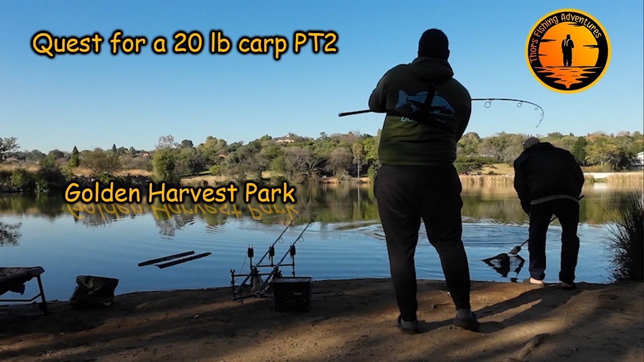 Carp Fishing South Africa  | Golden Harvest Park  | Quest for a 20 lb carp Part 2