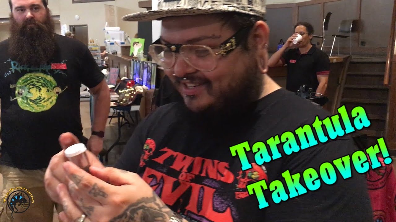 Tarantula Takeover at Show Me Snakes: Part 1
