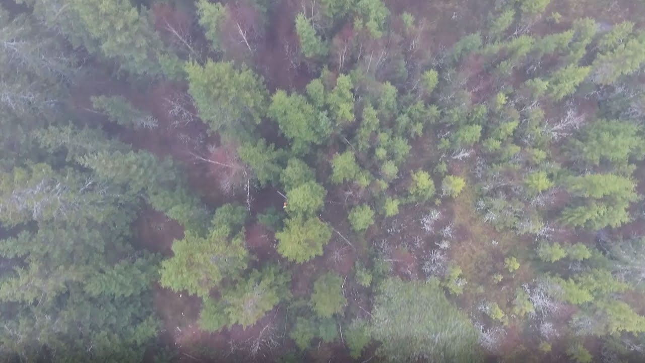 🌲 Fredagsfilm med Team 7 – tack för en fantastisk säsong🌲