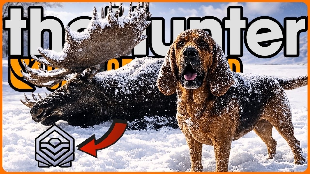 ELMAS VE MAX AĞIRLIKTA MOOSE !! | %5 NADİRLİKTE BLONDE AYI | theHunter: Call of the Wild