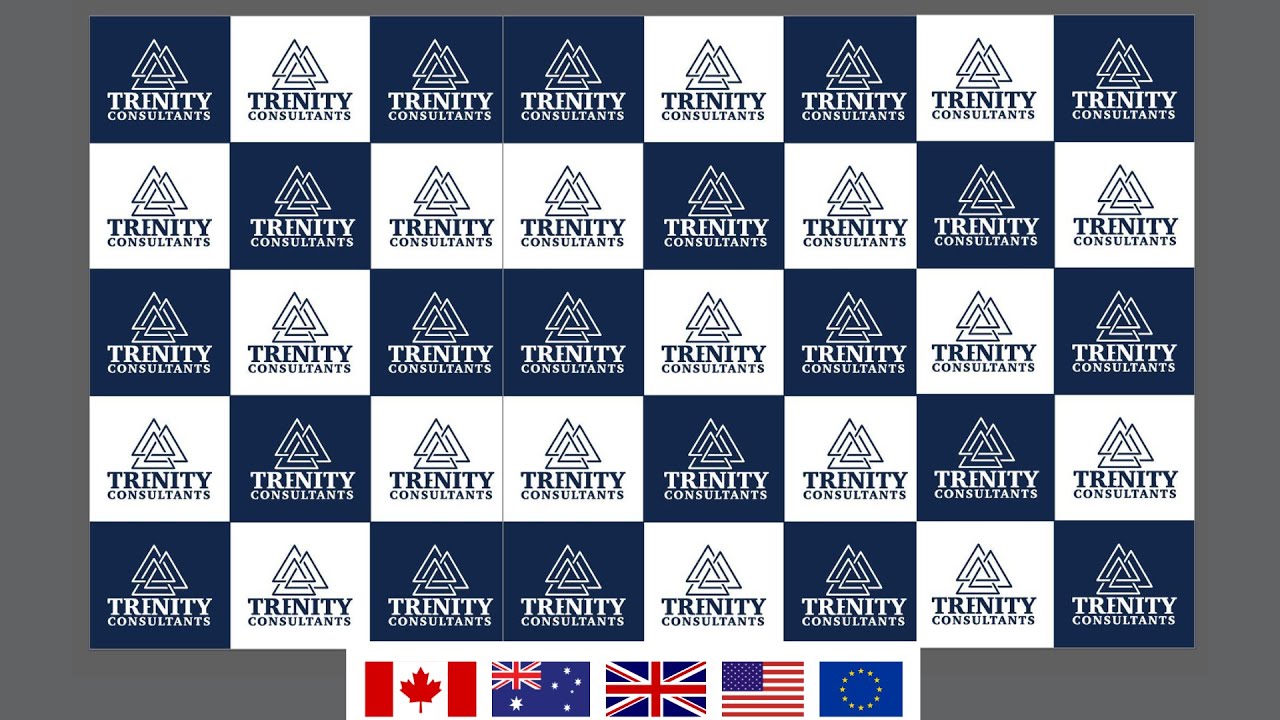 ✨Corporate Video - Trenity Consultants | One-Stop Solution Provider for all your Immigration Needs