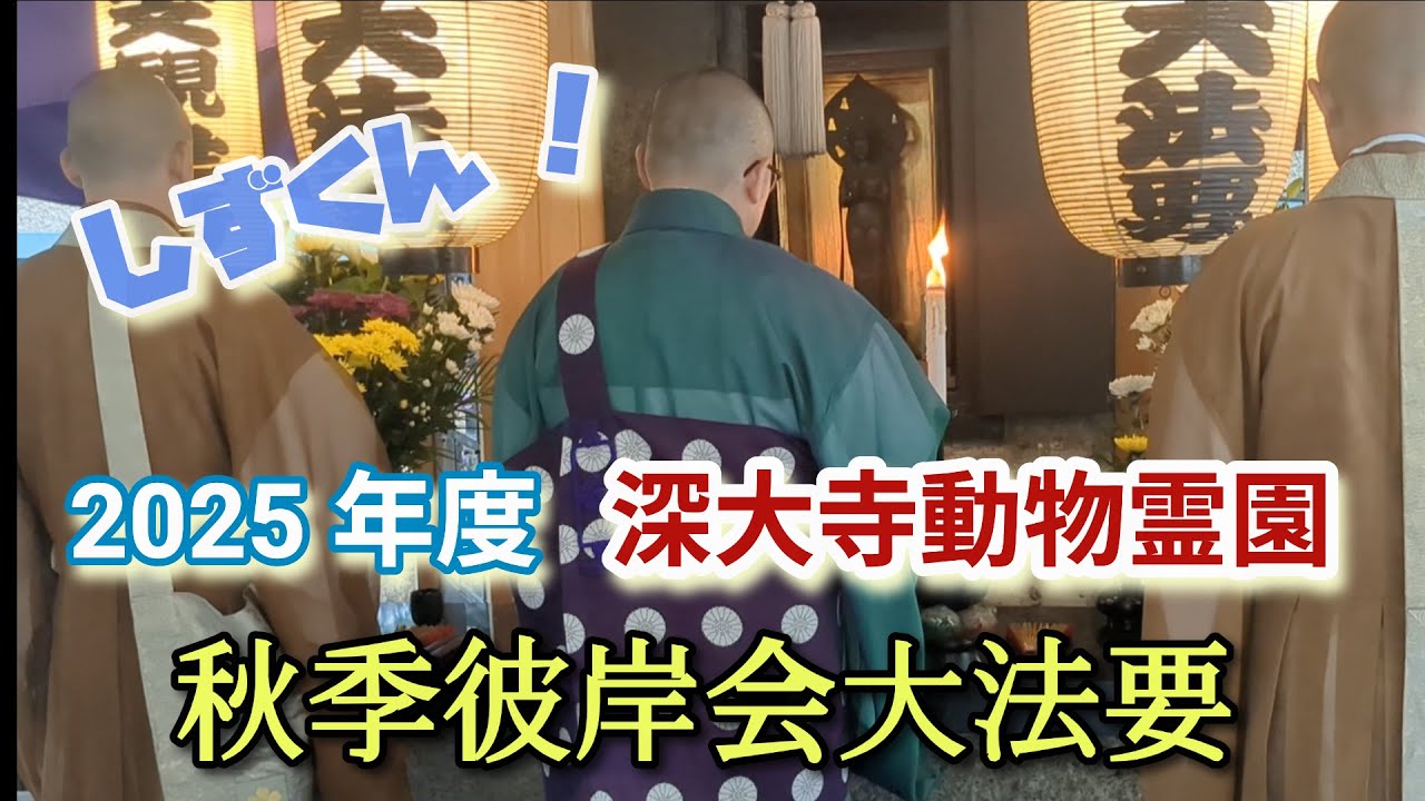 2025年度 深大寺動物霊園 （世界動物友の会）秋季彼岸会大法要  ペットロスの方の①心の整理 ②心の負担の軽減 ③前向き思考への導きにつながる僧侶の御経〈動画開始8分〜19分〉完全収録 #ペットロス