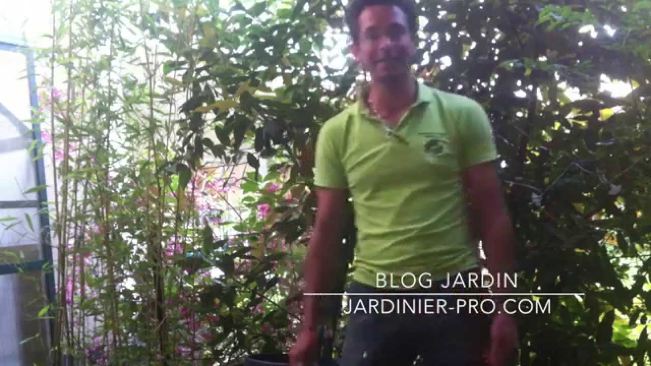 Apprendre &agrave; jardiner: jardinier-pro.com